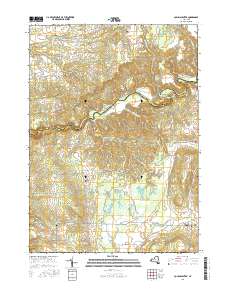 Collins Center 2016 topographic map thumbnail