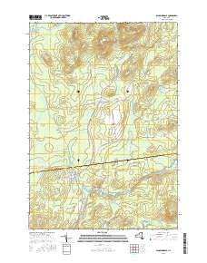 Bloomingdale 2016 topographic map thumbnail
