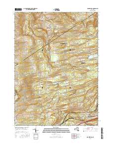 Duanesburg 2016 topographic map thumbnail