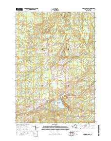 Ellenburg Depot 2016 topographic map thumbnail