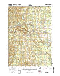 Morrisonville 2016 topographic map thumbnail