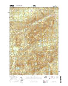 Peasleeville 2016 topographic map thumbnail