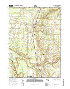North Collins 2016 topographic map thumbnail