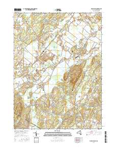 Pine Island 2016 topographic map thumbnail