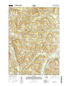West Valley 2016 topographic map thumbnail