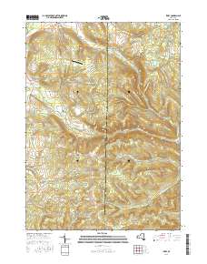 Ivory 2016 topographic map thumbnail