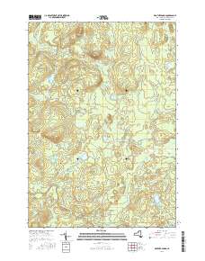 Brother Ponds 2016 topographic map thumbnail