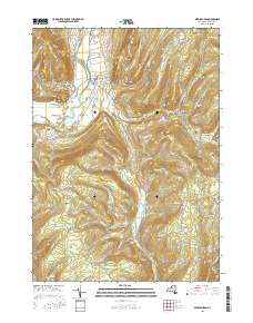 Middleburgh 2016 topographic map thumbnail