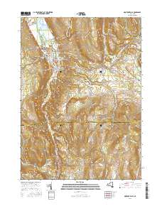 Montour Falls 2016 topographic map thumbnail