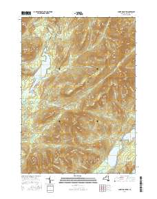 Snowy Mountain 2016 topographic map thumbnail