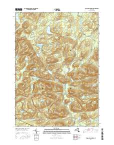 Tomany Mountain 2016 topographic map thumbnail