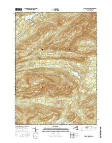 Wakely Mountain 2016 topographic map thumbnail