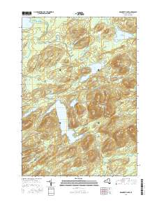Brandreth Lake 2016 topographic map thumbnail