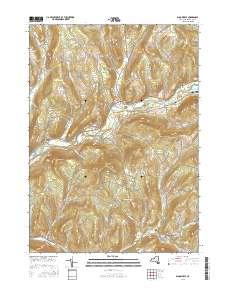 Bloomville 2016 topographic map thumbnail