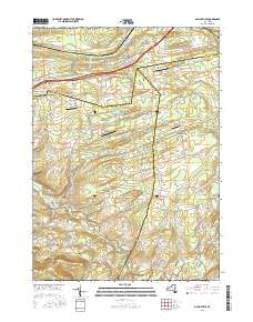 Gallupville 2016 topographic map thumbnail