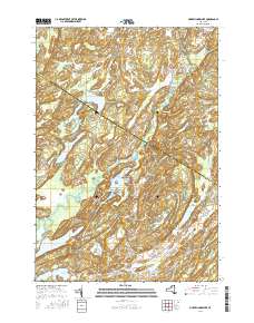 Muskellunge Lake 2016 topographic map thumbnail