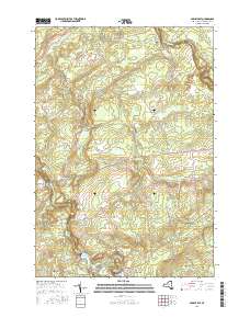 Parishville 2016 topographic map thumbnail