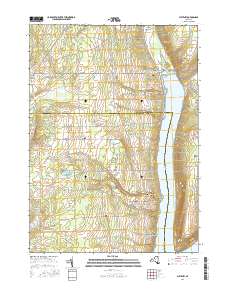 Pulteney 2016 topographic map thumbnail