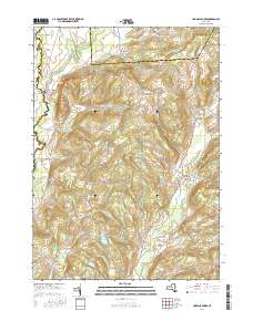 Unadilla Forks 2016 topographic map thumbnail