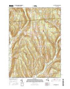 South Otselic 2016 topographic map thumbnail