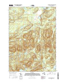 Long Tom Mountain 2016 topographic map thumbnail