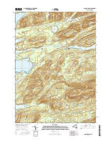 Sargent Ponds 2016 topographic map thumbnail