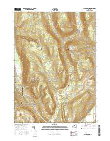 Bristol Springs 2016 topographic map thumbnail