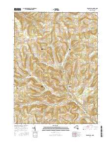 Troupsburg 2016 topographic map thumbnail