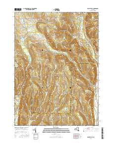 Willseyville 2016 topographic map thumbnail