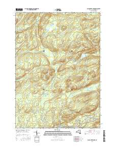 Black Creek Lake 2016 topographic map thumbnail