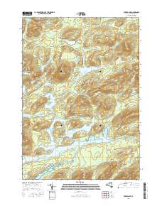 Forked Lake 2016 topographic map thumbnail