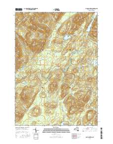 Page Mountain 2016 topographic map thumbnail