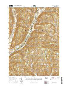 Newark Valley 2016 topographic map thumbnail