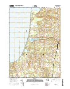 Pulaski 2016 topographic map thumbnail