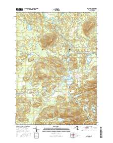 Bay Pond 2016 topographic map thumbnail