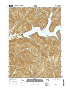 Downsville 2016 topographic map thumbnail