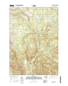 Chasm Falls 2016 topographic map thumbnail