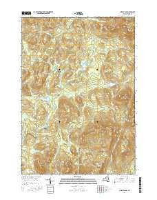 Cheney Pond 2016 topographic map thumbnail
