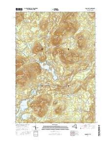 Loon Lake 2016 topographic map thumbnail