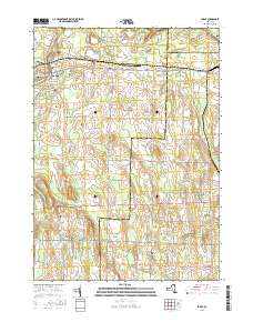 Le Roy 2016 topographic map thumbnail