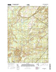 North Wilna 2016 topographic map thumbnail