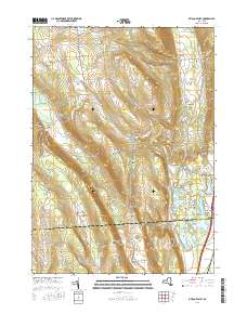 Otisco Valley 2016 topographic map thumbnail