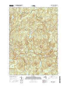 Tooley Pond 2016 topographic map thumbnail