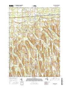 Williamson 2016 topographic map thumbnail