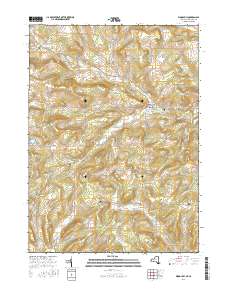 Woodhull 2016 topographic map thumbnail