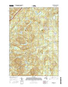 Witherbee 2016 topographic map thumbnail