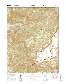 Indian Point 2016 topographic map thumbnail