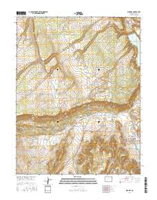 Ridgway 2016 topographic map thumbnail