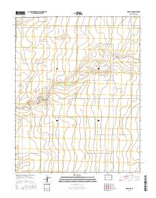 Walsh SE 2016 topographic map thumbnail