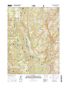 Tyler Mountain 2016 topographic map thumbnail